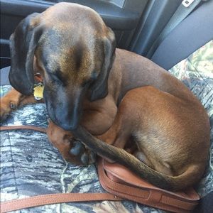 Meet your Posher, Bryan